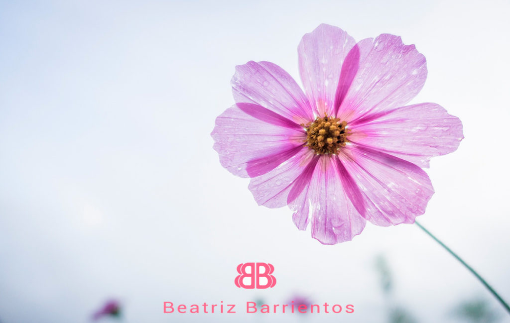 Lifting Facial Natural en Segovia Beatriz Barrientos